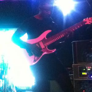 Animals as Leaders